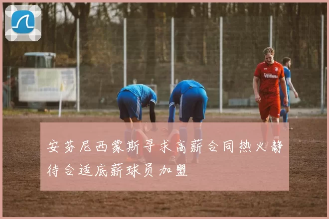 安芬尼西蒙斯寻求高薪合同热火静待合适底薪球员加盟